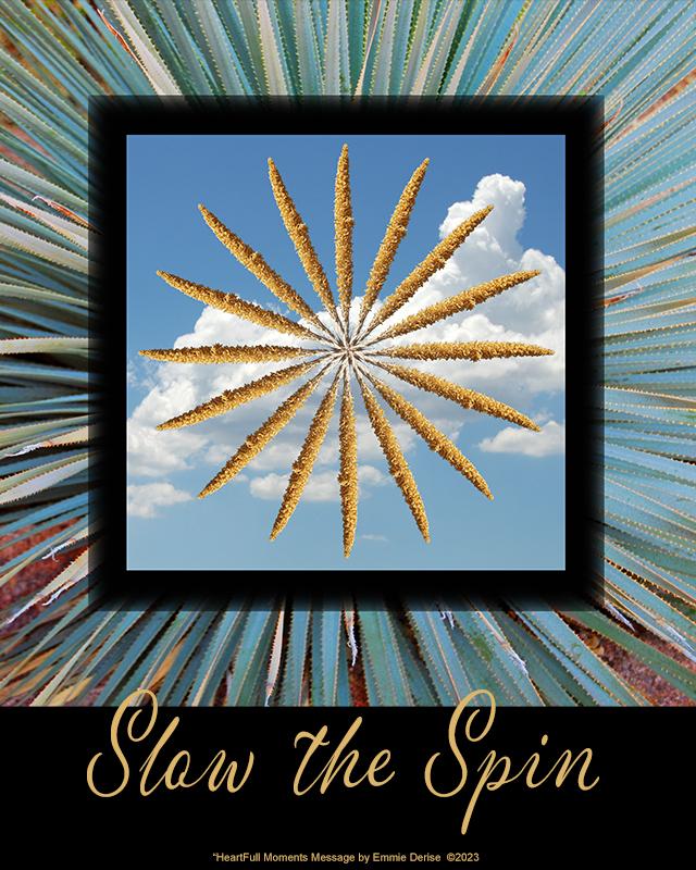 Slow the Spin by Emmie Derise Â©2023
