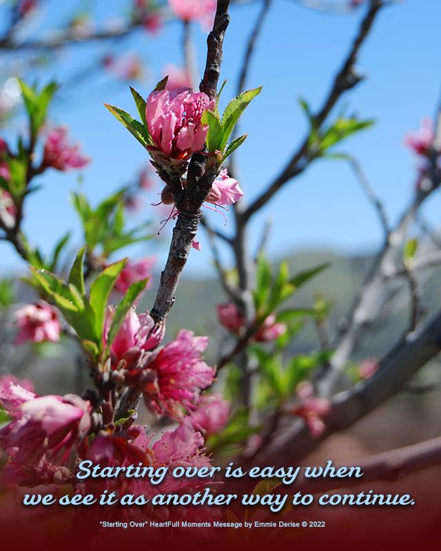 Starting Over by Emmie Derise Â© 2022