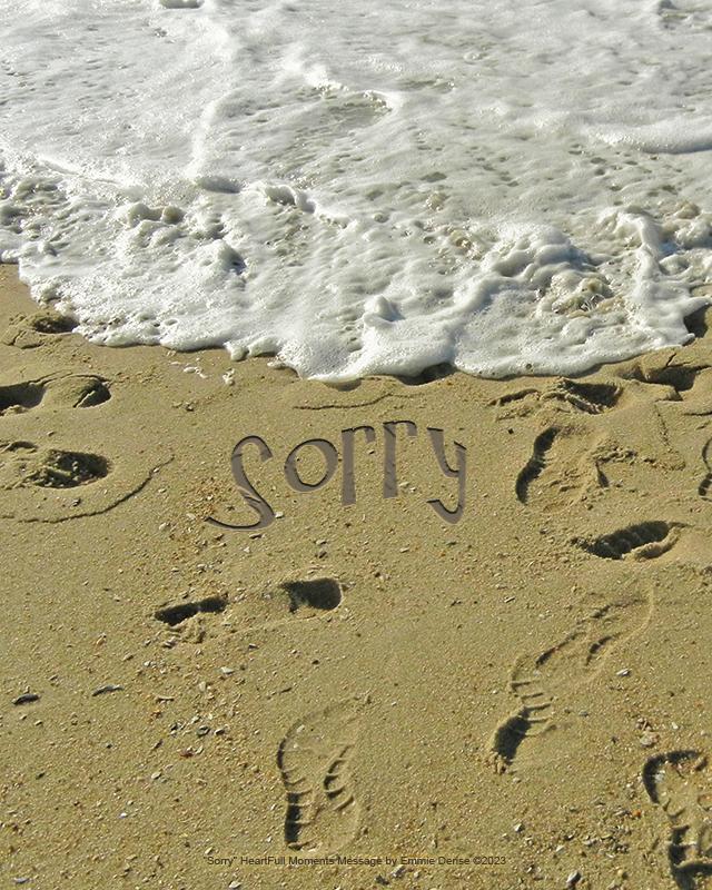 Sorry by Emmie Derise Â©2023