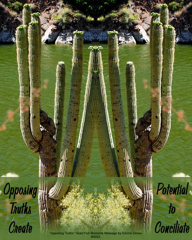Opposing Truths by Emmie Derise Â© 2022