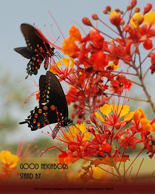 ArtFull Moments Message by Emmie Derise Â©2020