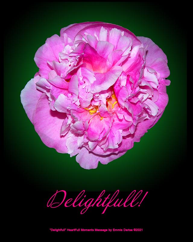 Delightfull HeartFull Momentbs Message by Emmie Derise ©2021