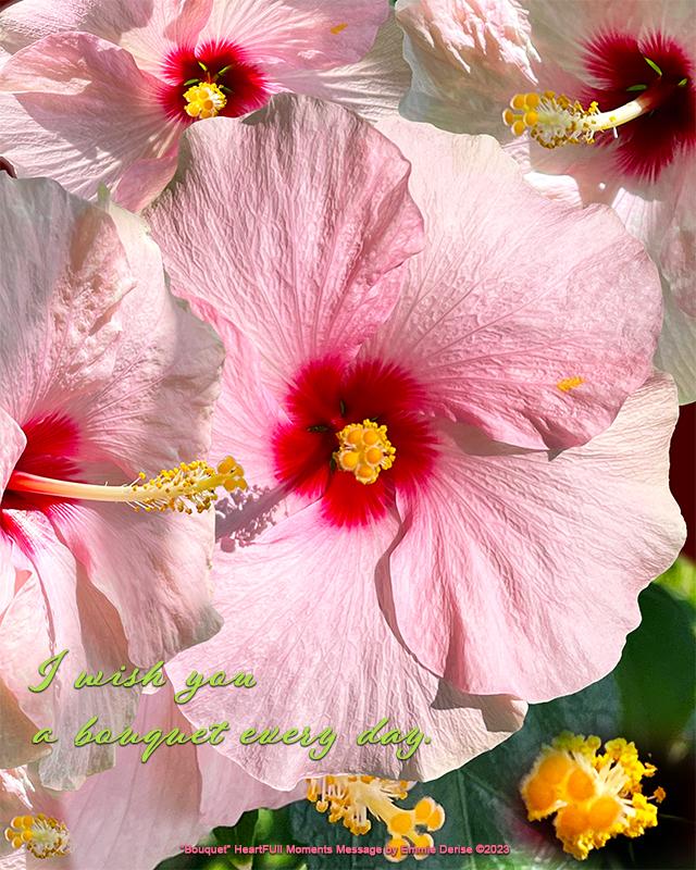 Bouquet by Emmie Derise Â©2023 