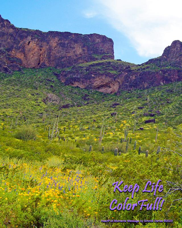 Keep Life ColorFull by Emmie Derise Â©2023