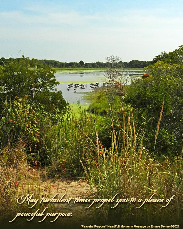 Peaceful Purpose Â©2021 Emmie Derise