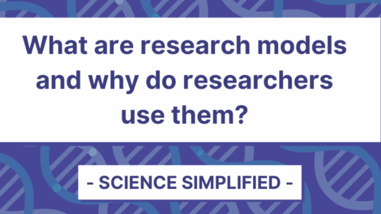 Screen Shot 2022-04-07 at 6.26.43 AM.png