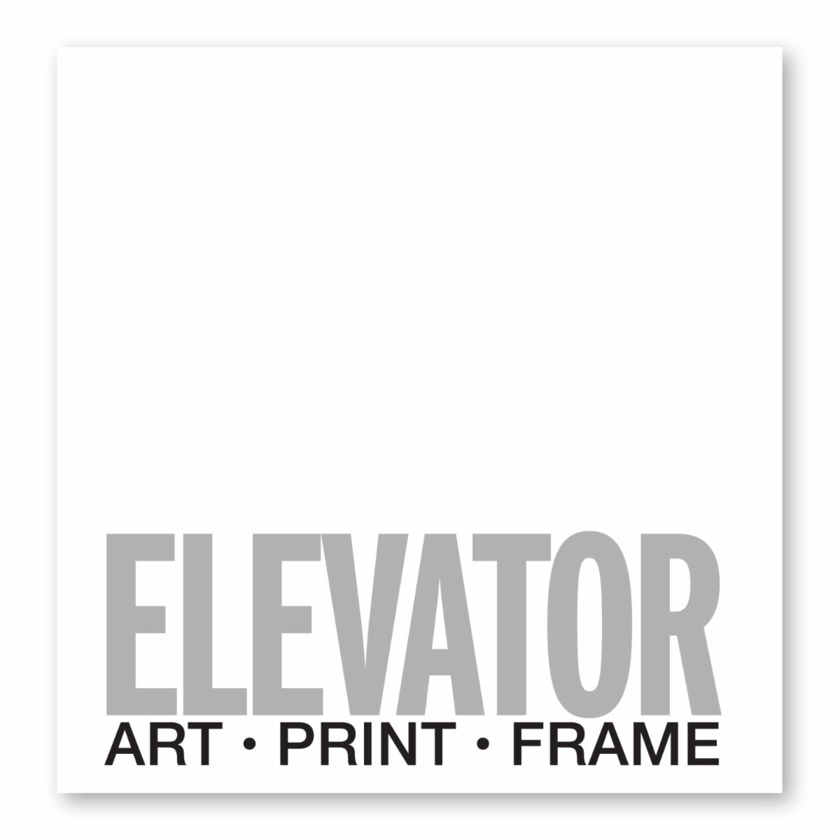 ELEVATOR_LOGO2020.jpg