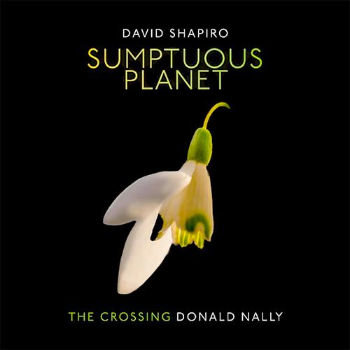 Cover art for Sumptuous Planet