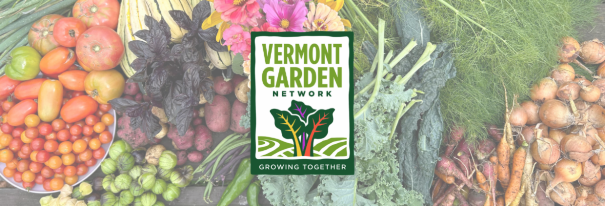 Banner with logo Opaque