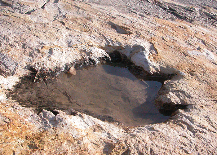 Dinosaur foot print fossil filled with water