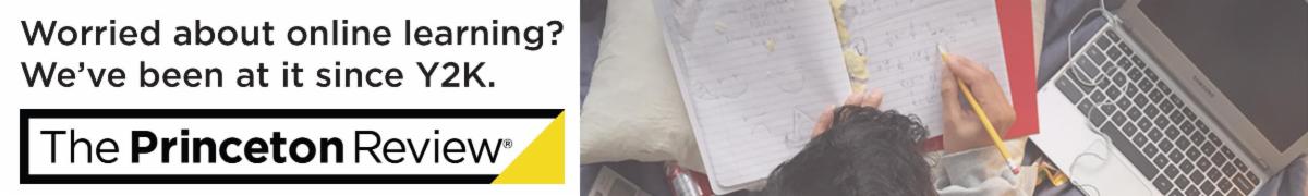 princeton review banner ad
