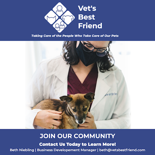 NJVMA Monthly News Strategic Planning Survey Results, 2022 VEC and More!