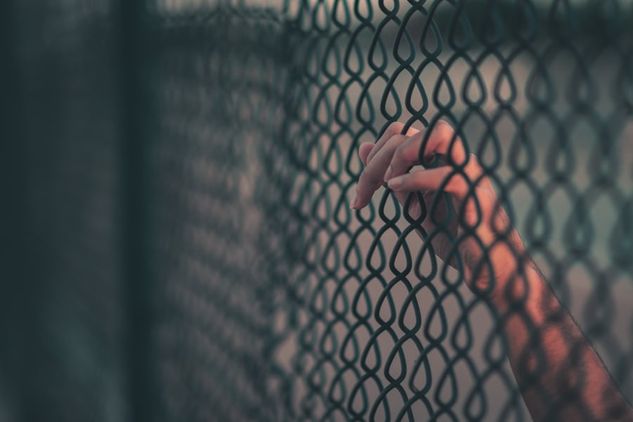 Image of hand behind a wired fence