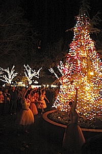 Solvang Julefest Tree Lighting Ceremony