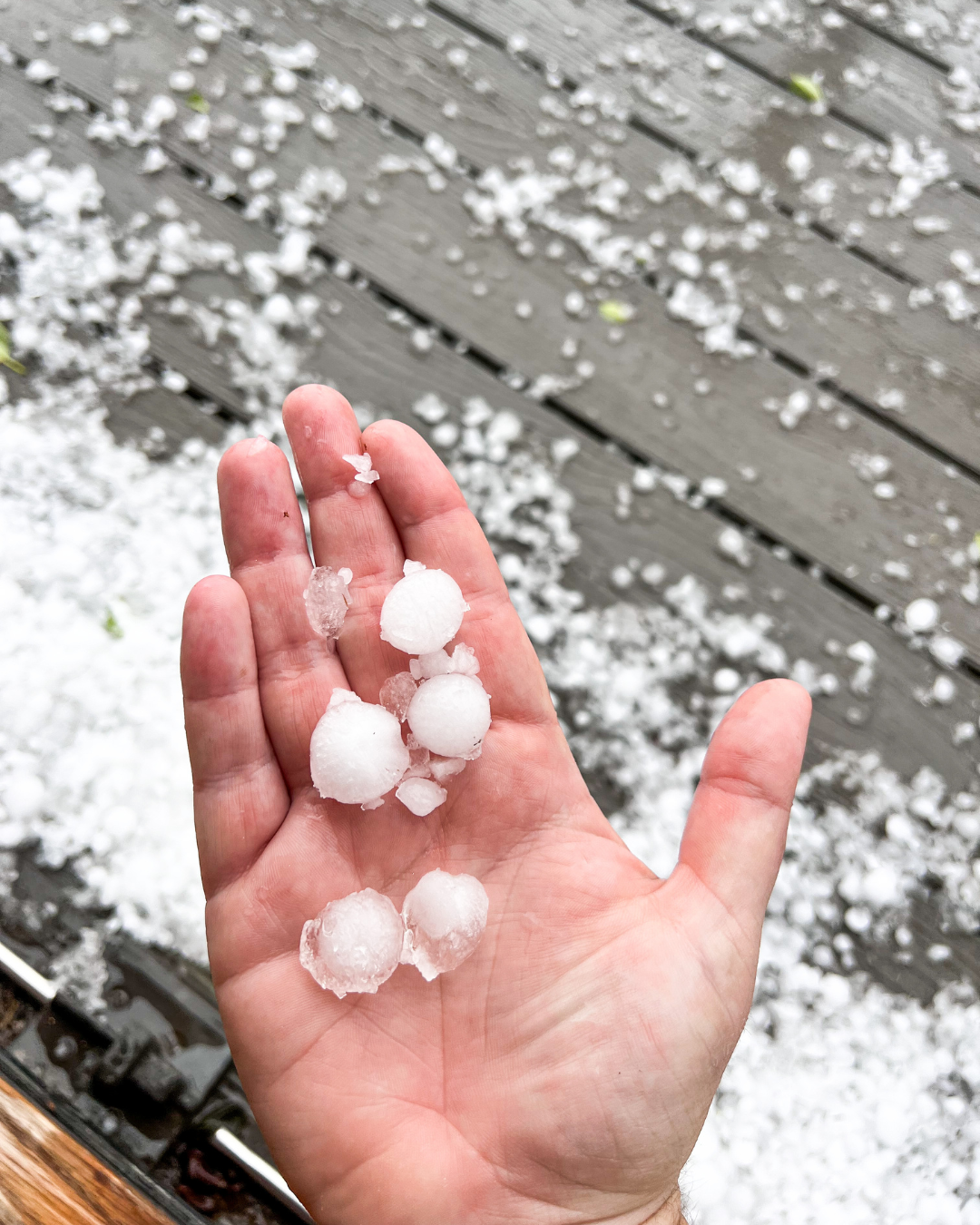 hand holding hail over roof