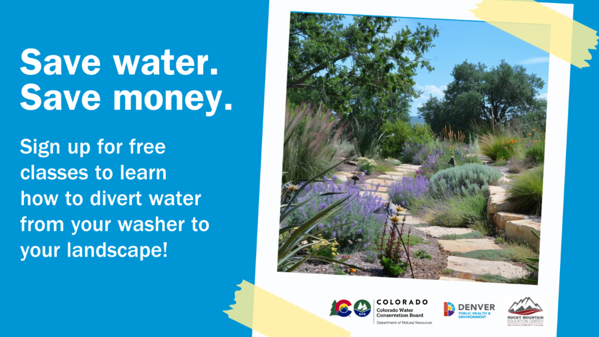 Graywater Workshops flyer