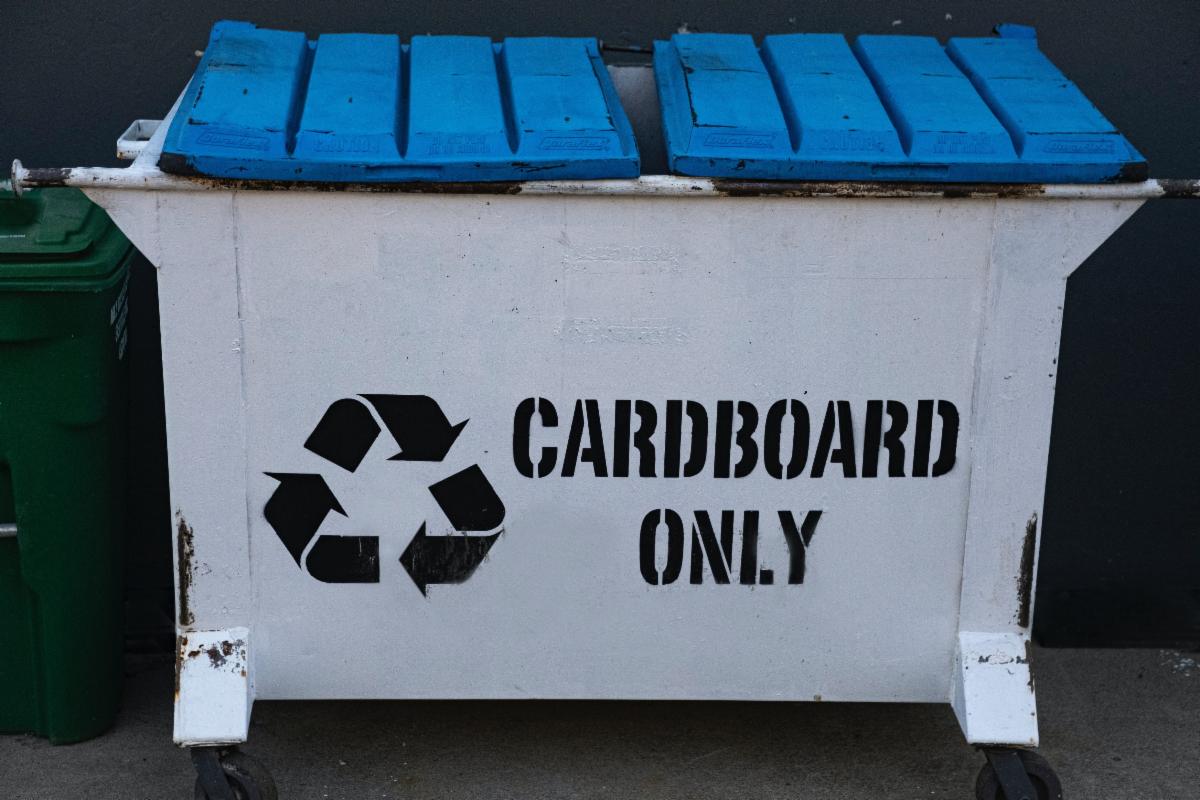 Photo by David McElwee of cardboard only dumpster