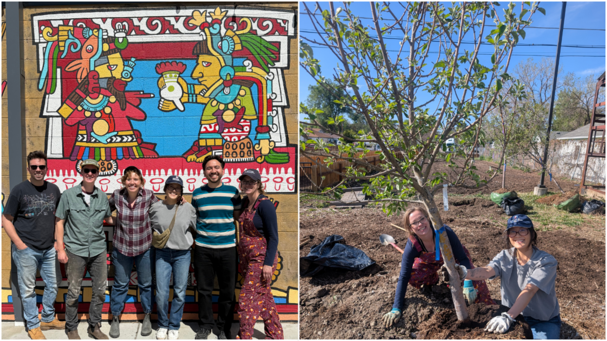 A collage of photos of people at a tree planting day