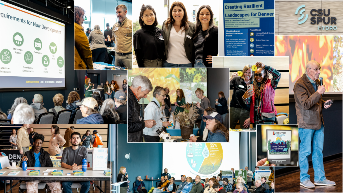 Photo collage of residents and staff at the Denver Resilient Landscapes symposium