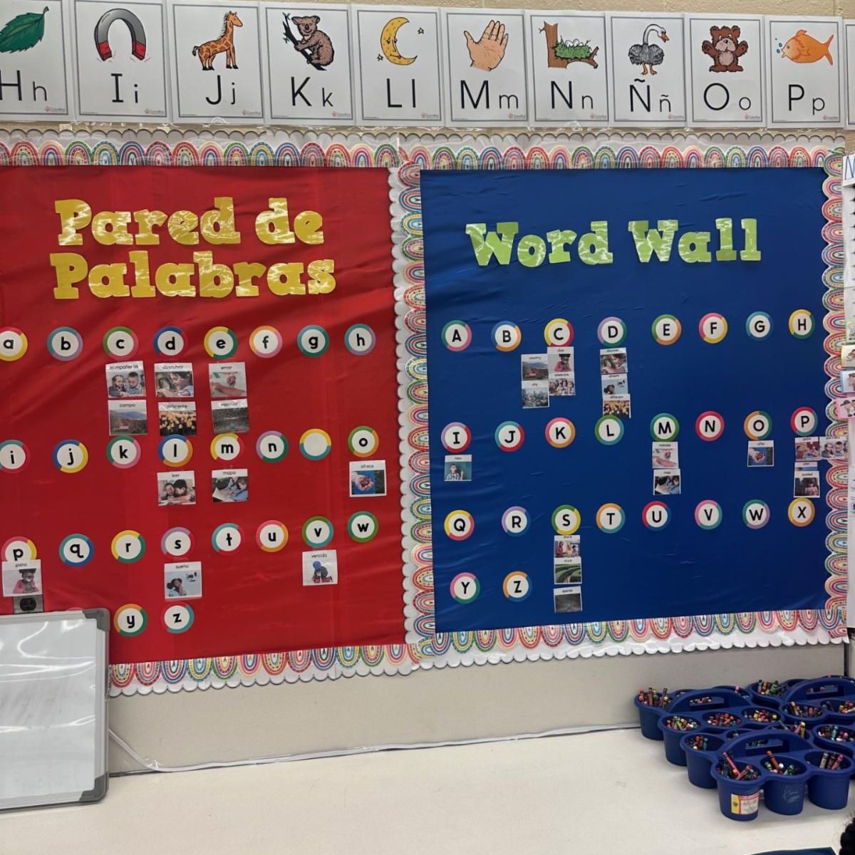 Ps 384 March 2025 Newsletter