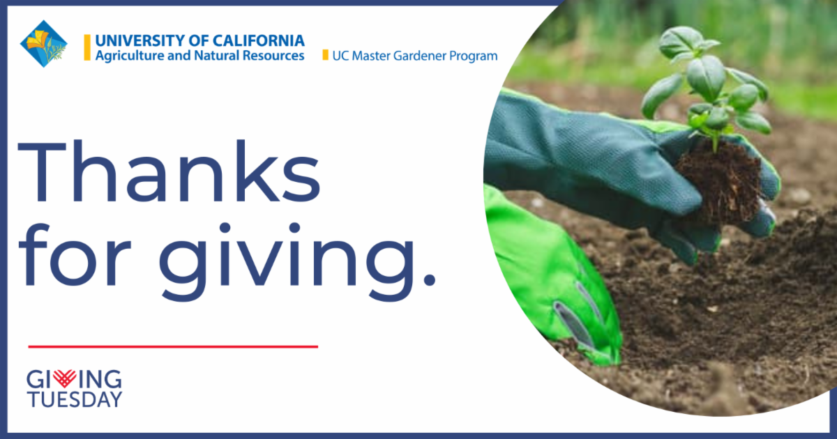 Glenn County Cooperative Extension Donor Campaign and Program Update 20222023