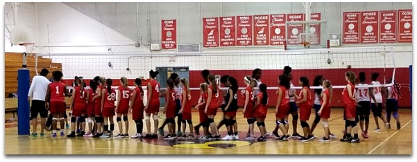 oms volleyball 3