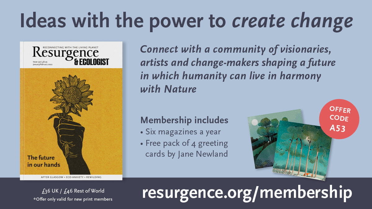 Connection Creates Change