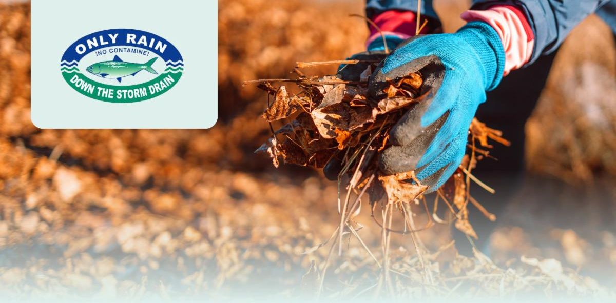 Gloved hands hold a pile of fallen leaves outdoors. The Only Rain Down the Storm Drain logo appears in the upper left.