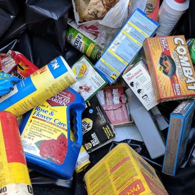 A collection of household pesticides, insect sprays, garden chemicals, and other products gathered together for disposal.