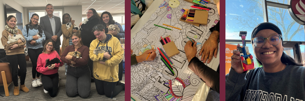 Take a beat collage of students and president daly with petting zoo rabbits students coloring and student making legos piece