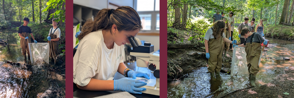 collage of students in lab using microscope and out in the field in a creek with trees in background collecting samples from water