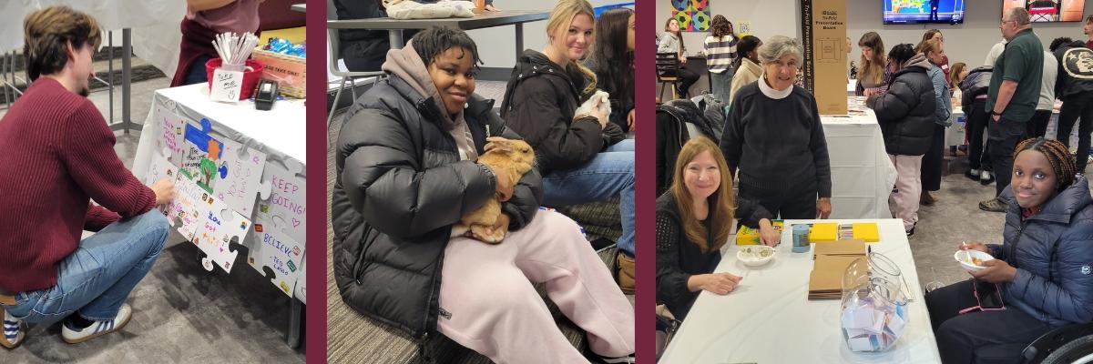 Wellness day collage of students eating and coloring and holding bunnies