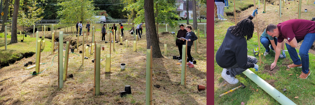 wide shot of sparkill creek area with trees planted and markers noting where they are planted and student with president daly planting tree in ground