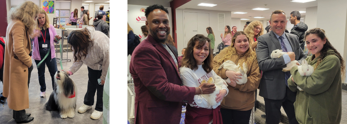 Keep A Beat event bunnies and therapy dogs