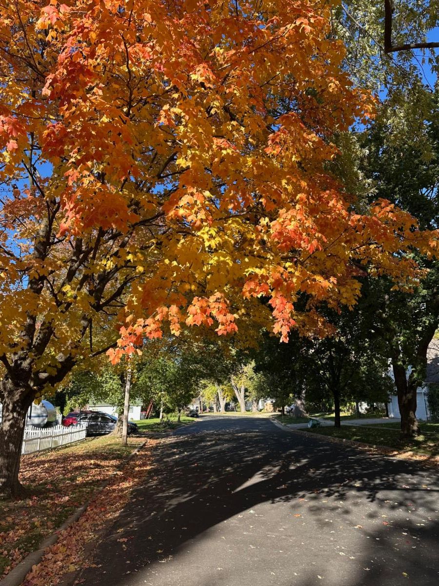 Cherry Tomato Pasta, Fall Photos, Tool Giveaway