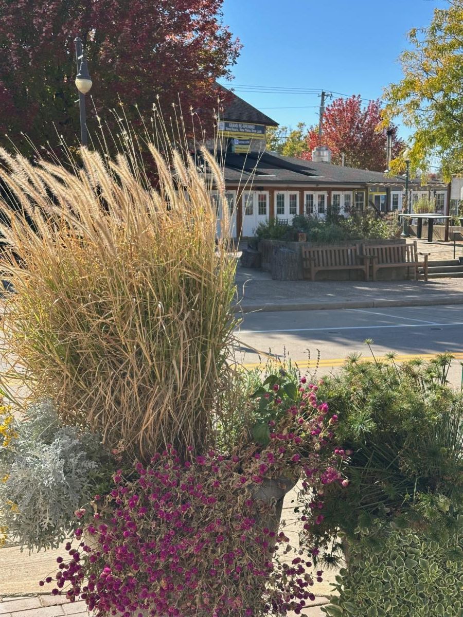 Cherry Tomato Pasta, Fall Photos, Tool Giveaway