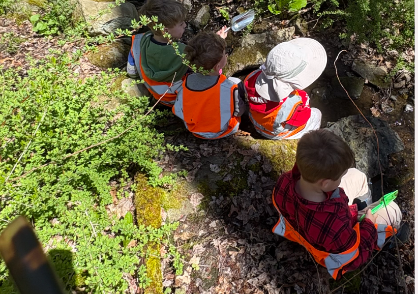 Sanctuary Forest School Students at a woodland puddle at Unity Farm Sanctuary