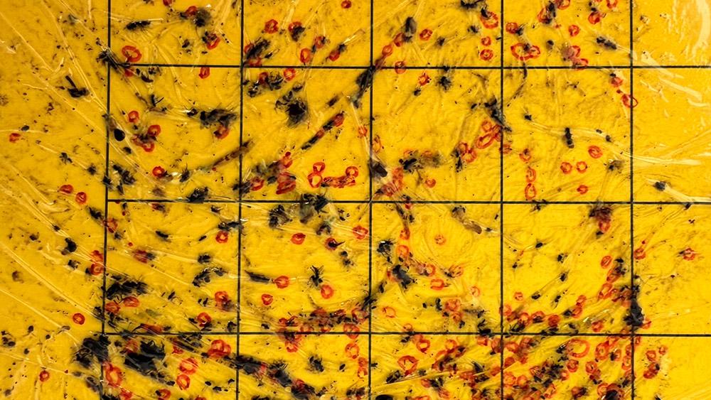 Black and red splotches on a light background