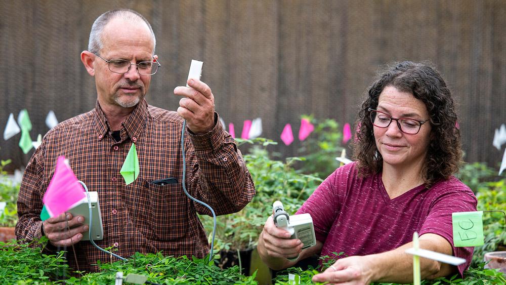 A man and a woman holding gadgets in the middle of many plants with little flags stuck in the pots