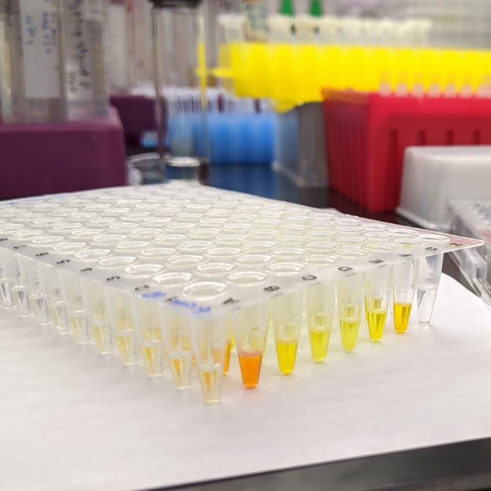 test tube tray on a lab table