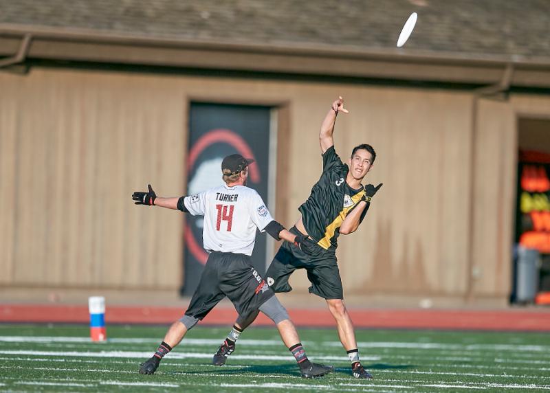 7-8-19 - Spiders - Ron Sellers