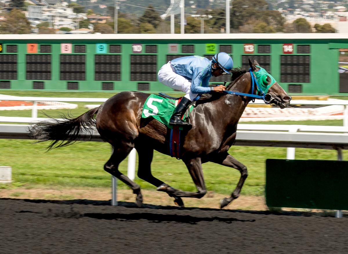 8-26-19 - GGF - Bill Vassar