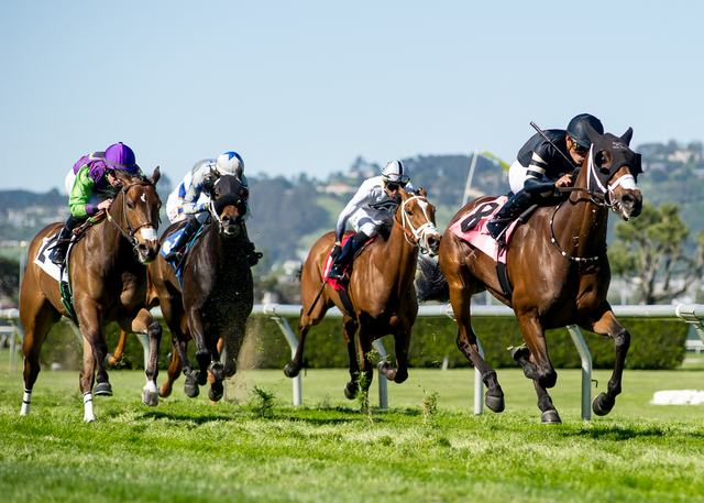 Golden Gate Fields