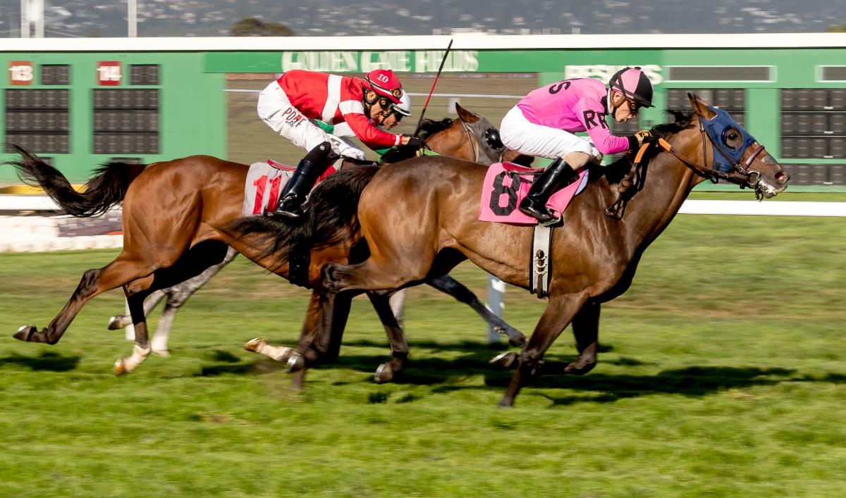 8-19-19 - GGF - Vassar