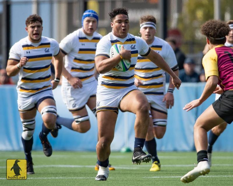 2-11-19 - Cal - Alex Ho