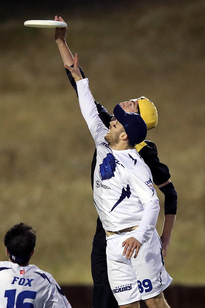 5-13-19 - Spiders - Darren Yamashita