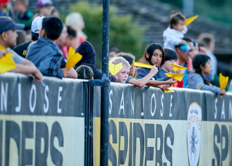 7-8-19 - Spiders - Ron Sellers