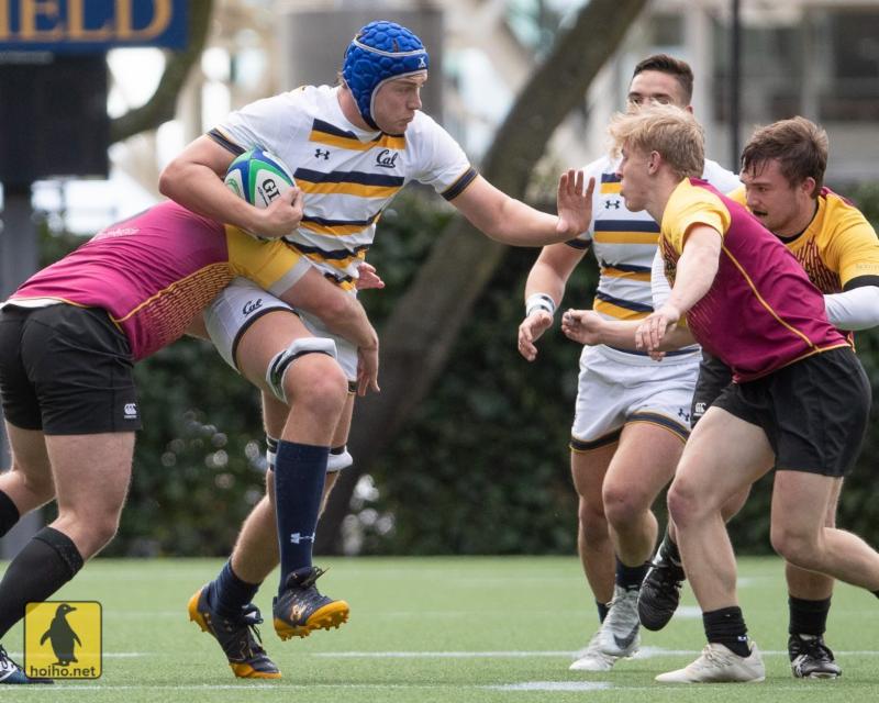 2-11-19 - Cal - Alex Ho