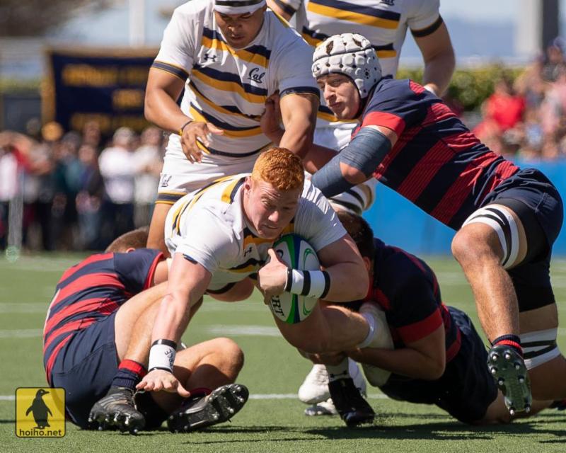 4-1-19 - Cal - Alex Ho