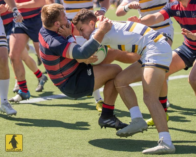 4-1-19 - Cal - Alex Ho